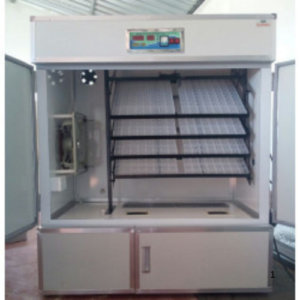 EHE-1056S Automatic Dual Compartment Incubator