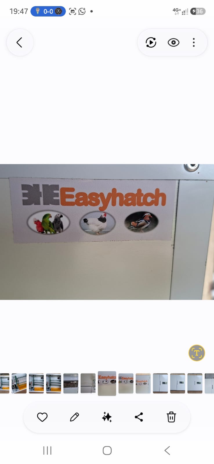 EHE264