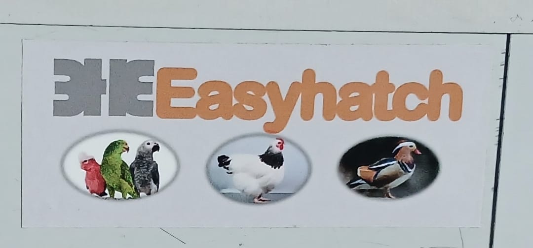 EHE528